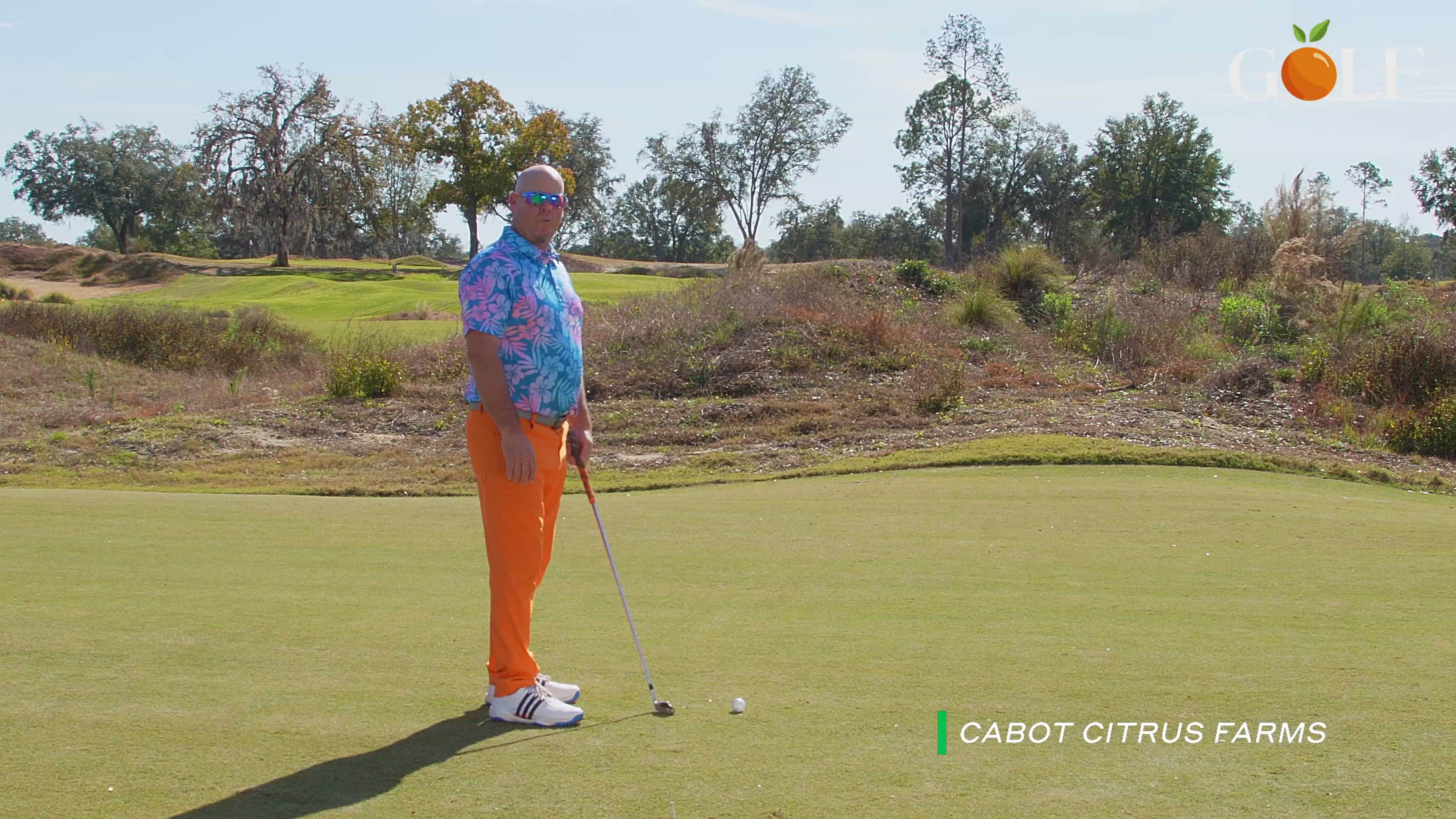 Hit Better Irons: Pick Your Position