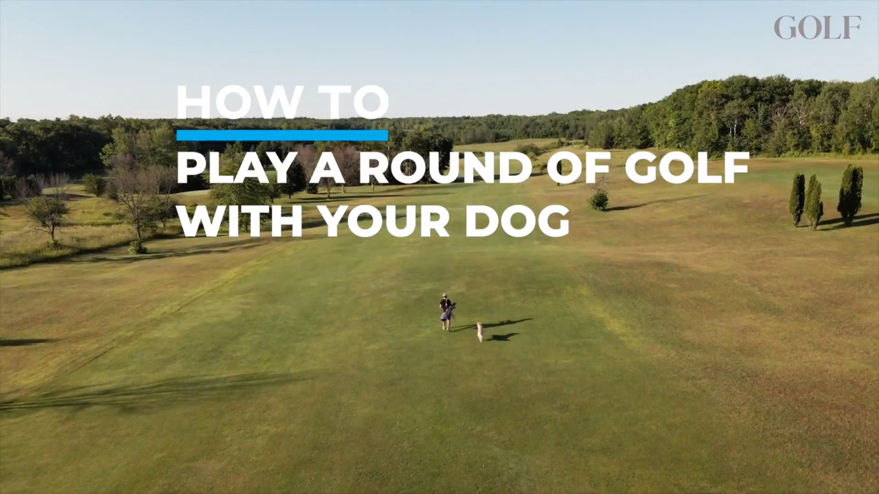 How to Play a Round with Your Dog