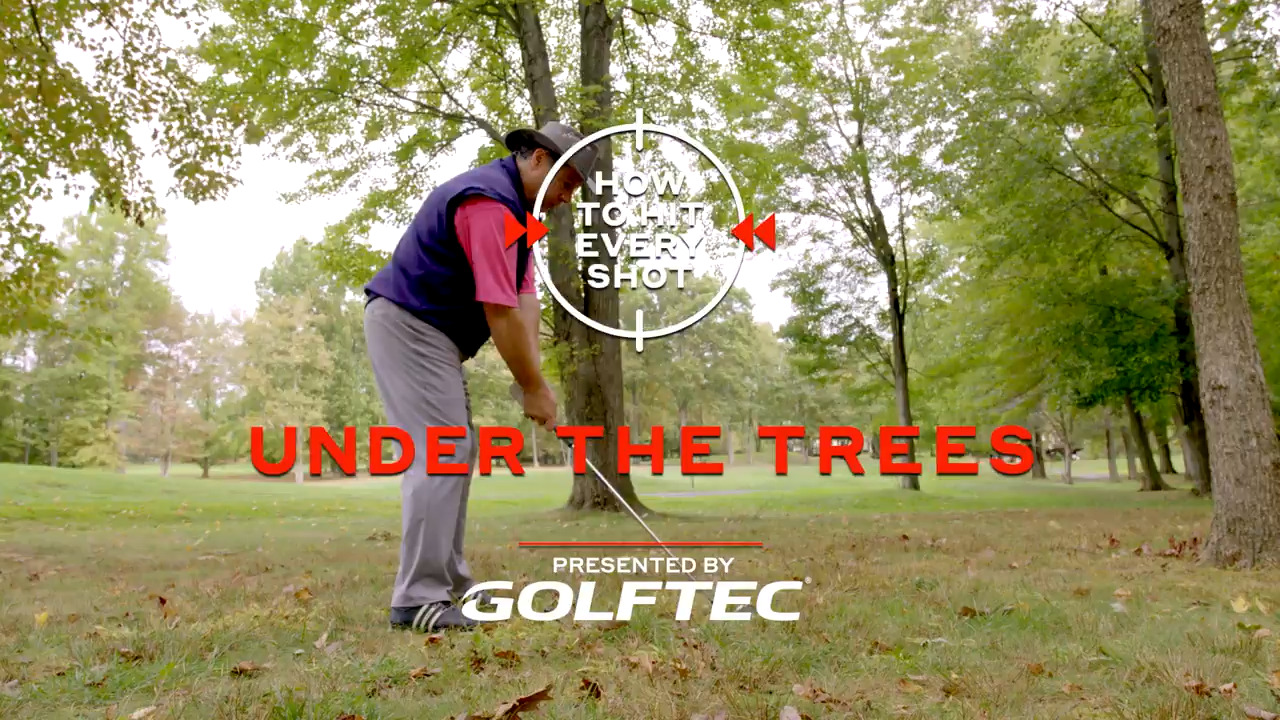 How To Hit Every Shot: Under the Trees