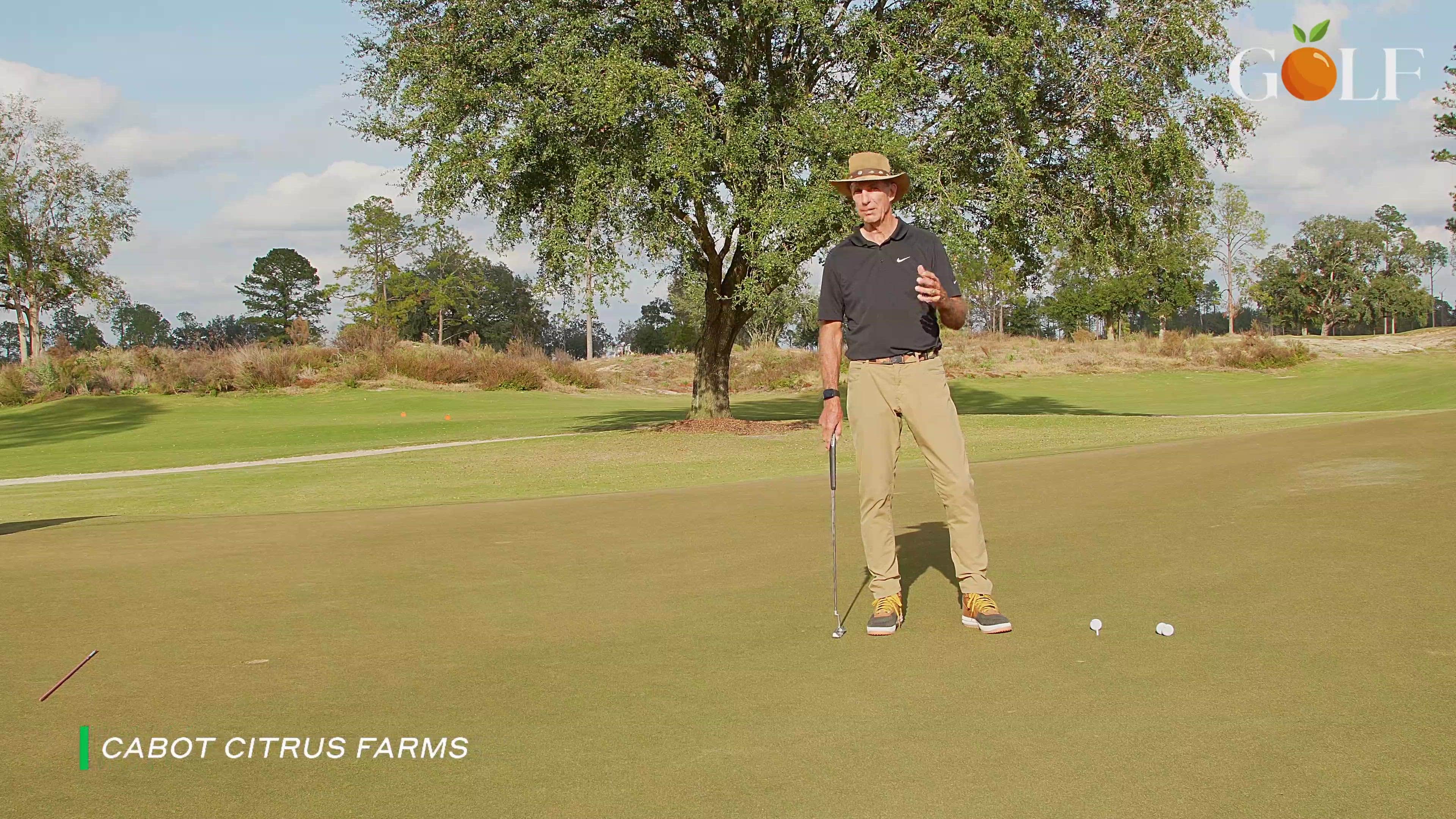 How to be a Birdie Machine